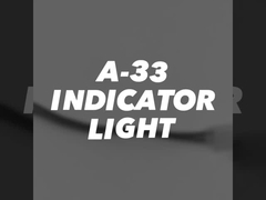 8mm dia. A-11 néon mini LED 220v a conduit le pilote lumière